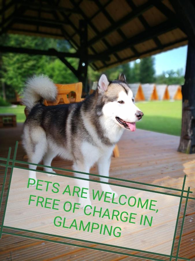 Glamping Forest Edge Kamnik Ngoại thất bức ảnh